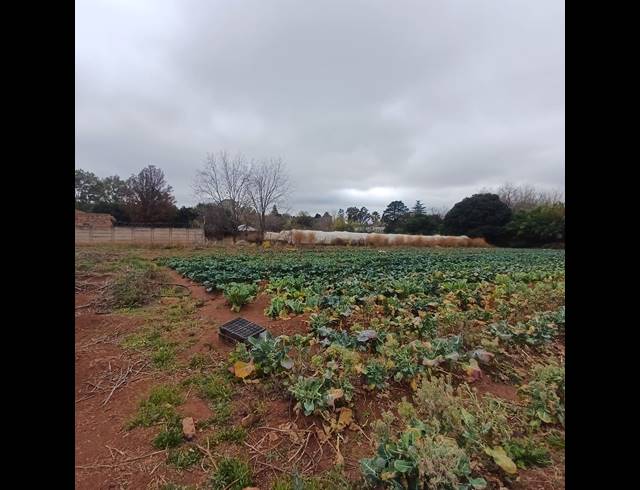 4,064M² VACANT LAND FOR SALE IN HENLEY ON KLIP